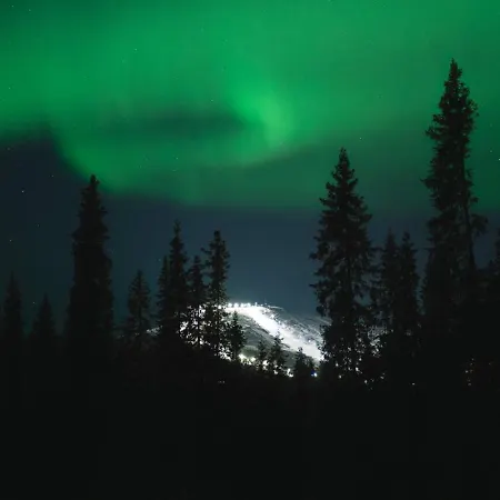 Yllas Forest For Nature Semesterbostad